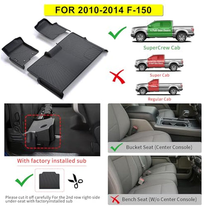 Floor Mats for 2010