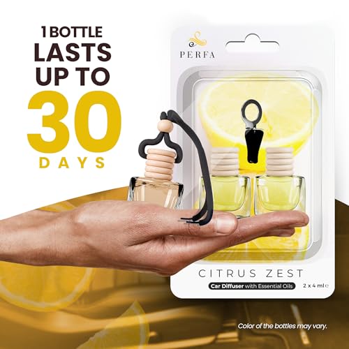 Car Air Freshener (4 Fl Oz)