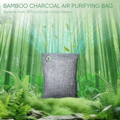 Activated Charcoal Odor Absorber