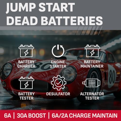 6A Car Battery Charger and 85A Engine Starter