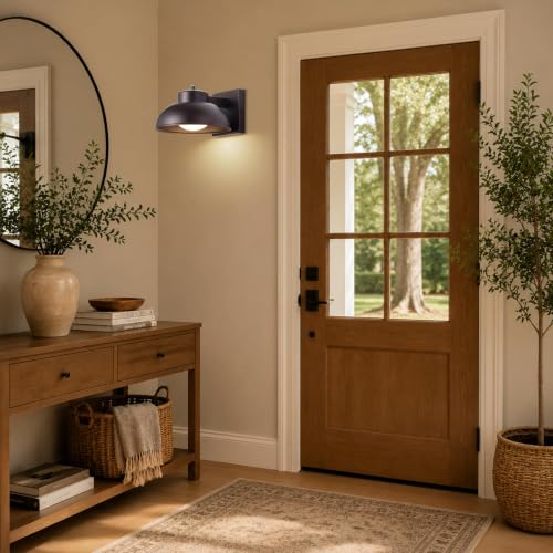 LED Outdoor Wall Lights (2 Count)