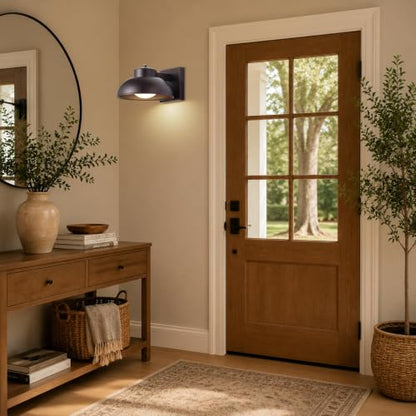 LED Outdoor Wall Lights (2 Count)