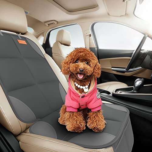 2 Pack Car Seat Protector (2 Count)