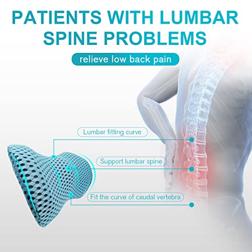 Lumbar Support Pillow for Office Chair