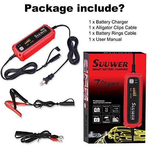 Automatic Battery Charger