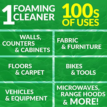 All Purpose Foaming Aerosol Cleaner (40 Ounce)