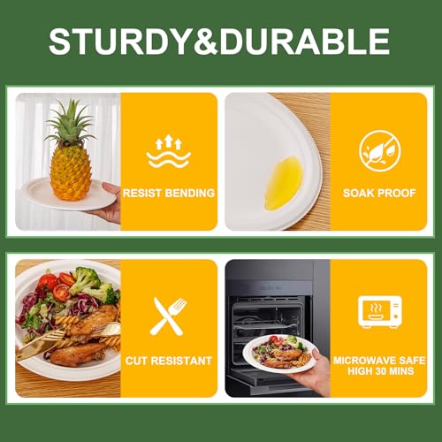 Paper Plates 9 Inch 125 (125 Count)