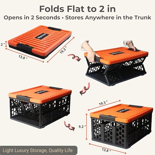 Trunk Organizer Plastic for Car