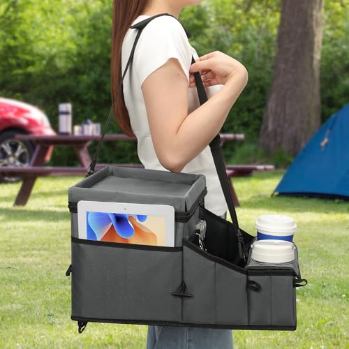 Backseat Organizer for Kids & Adults