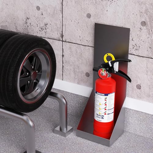 Signature ABC Fire Extinguisher for Home (40 Ounce)