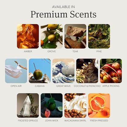 Car Air Freshener (8.8 Ounce)