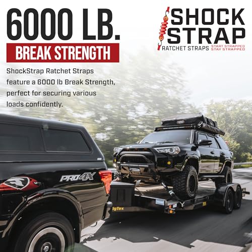 Ratchet Strap (4 Count)
