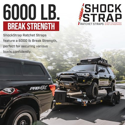 Ratchet Strap (4 Count)