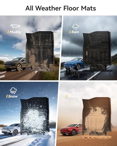 Floor Mats Fit for 2024
