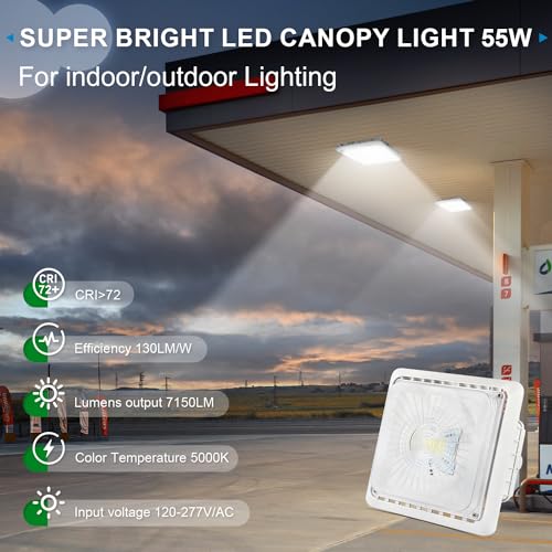 LED Canopy Garage Light 30W