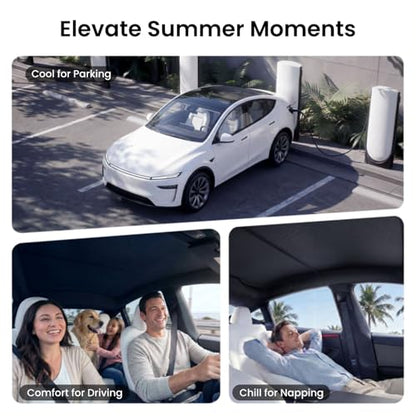 Tesla Model Y Juniper (2 Count)