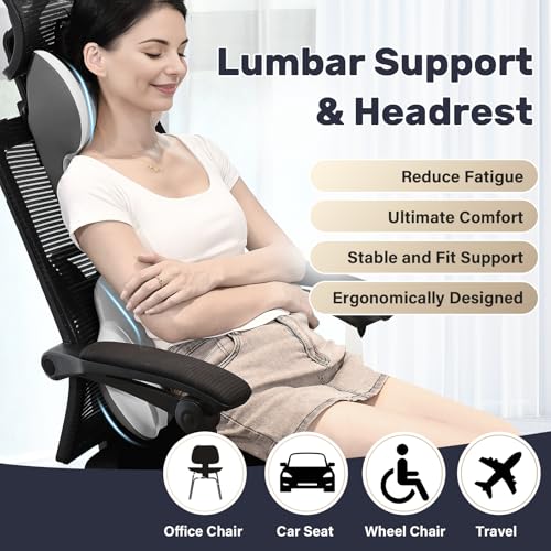 Lumbar Support Pillow and Car Neck Pillow (2 Count)