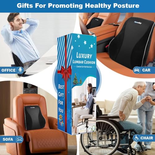 Lumbar Support Pillow for Office Chair Car