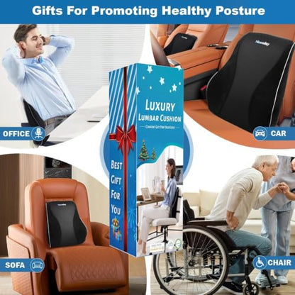 Lumbar Support Pillow for Office Chair Car