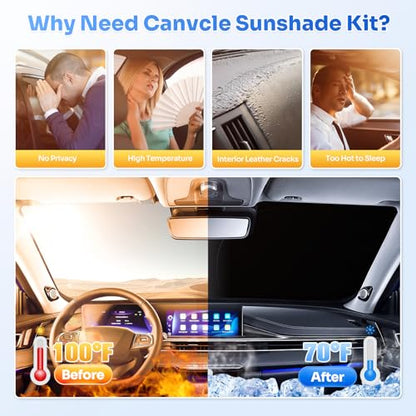Sunshades for 2019 (8 Count)