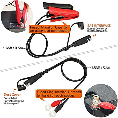 Automatic Battery Charger