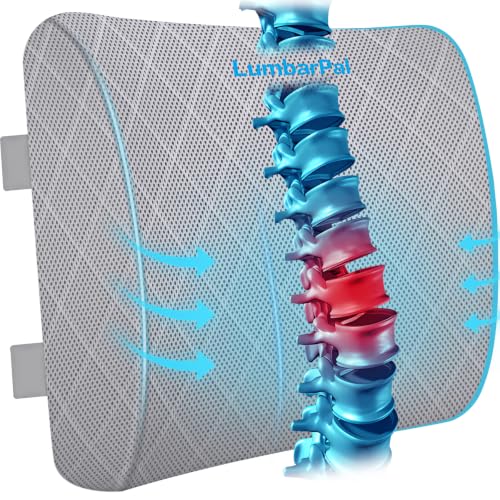 Lumbar Support Pillow for Office Chair
