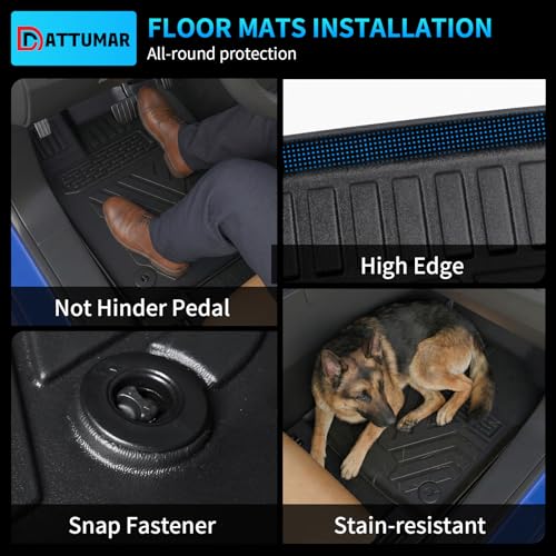 Floor Mats Set for 2013