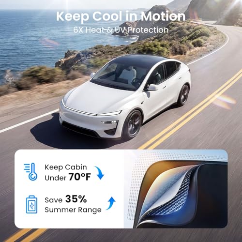 Tesla Model Y Juniper (2 Count)