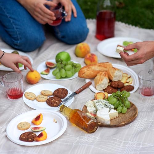 Paper Plates 9 Inch 125 (125 Count)