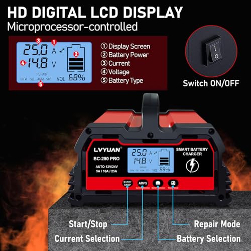 25Amp Smart Car Battery Charger