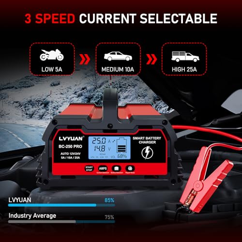 25Amp Smart Car Battery Charger