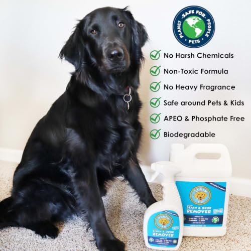 Pet Stain & Odor Remover (24 Fl Oz)