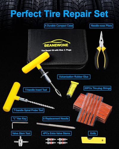 Tire Repair Kit with Plugs