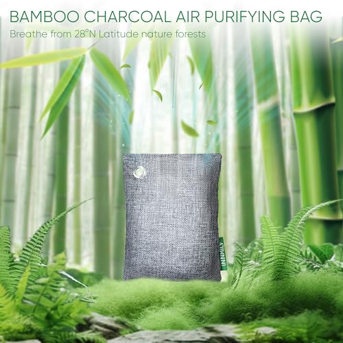 Activated Charcoal Odor Absorber