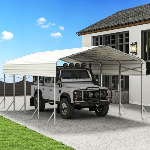 12x20' Heavy Duty Metal Carport