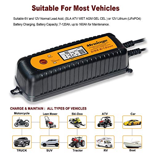 Smart Battery Charger