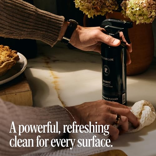 All Purpose Cleaner Spray 16.9oz Multi (10.1 Fl Oz)