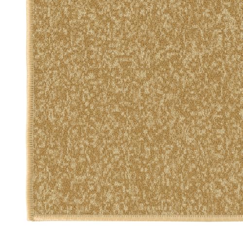 2x3 Entryway Rug