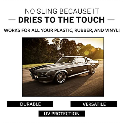 CAR GUYS Tire Shine Spray (18 Fl Oz)