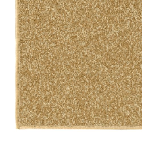 2x3 Entryway Rug