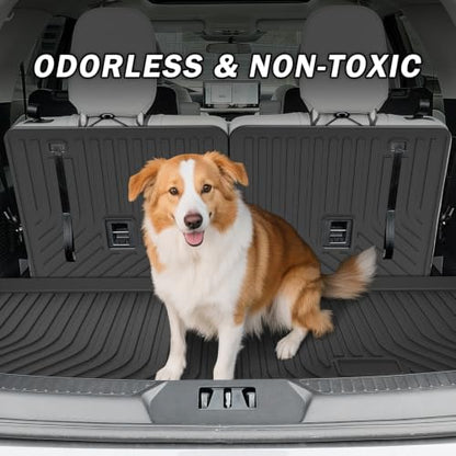 Floor Mats for 2020 (11 Count)