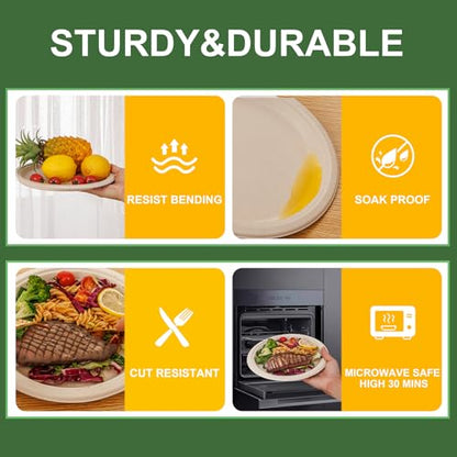 Paper Plates 10 Inch 125 (125 Count)