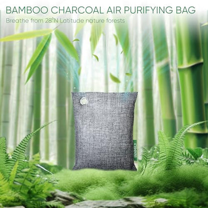 Activated Charcoal Odor Absorber