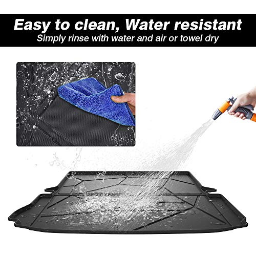 Trunk Cargo Mat for 2011