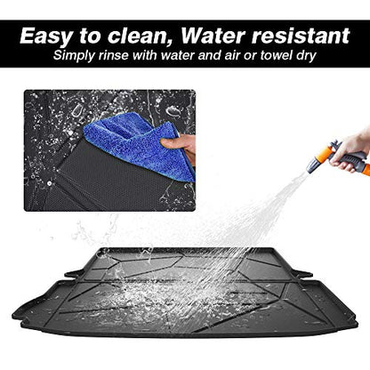 Trunk Cargo Mat for 2011