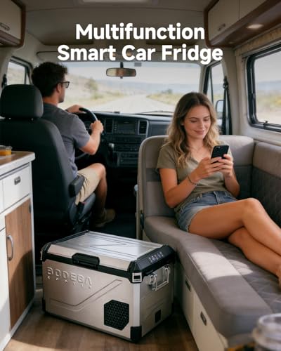 12V Car Refrigerator