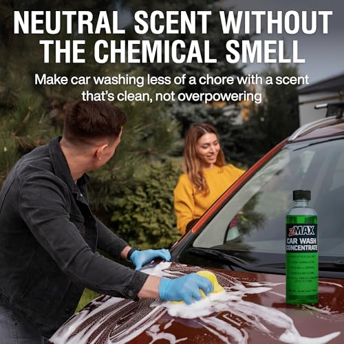 Car Wash Concentrate (24 Fl Oz)