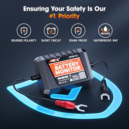 BM300 Pro Battery Monitor