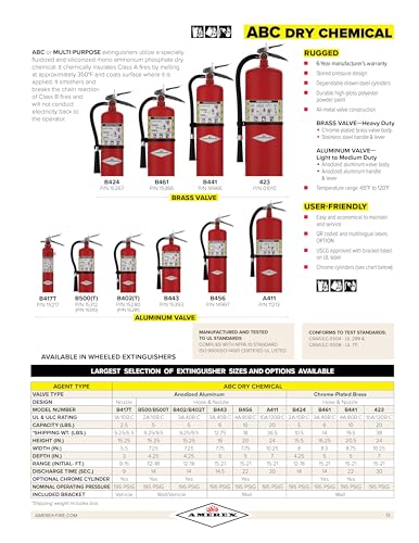B500 5 lbs ABC Dry Chemical Fire Extinguisher