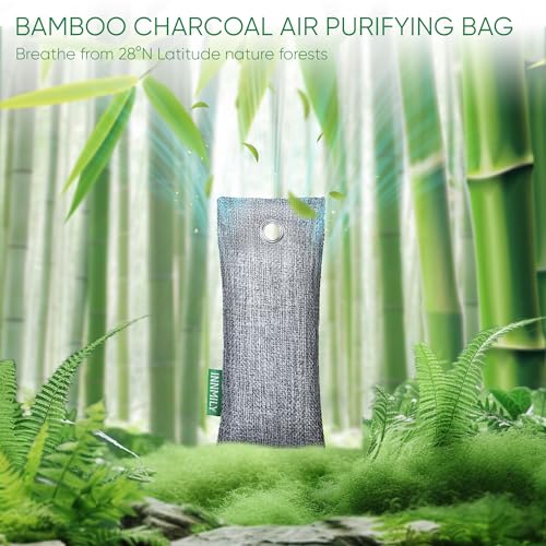 Activated Charcoal Odor Absorber (15.1 Ounce)